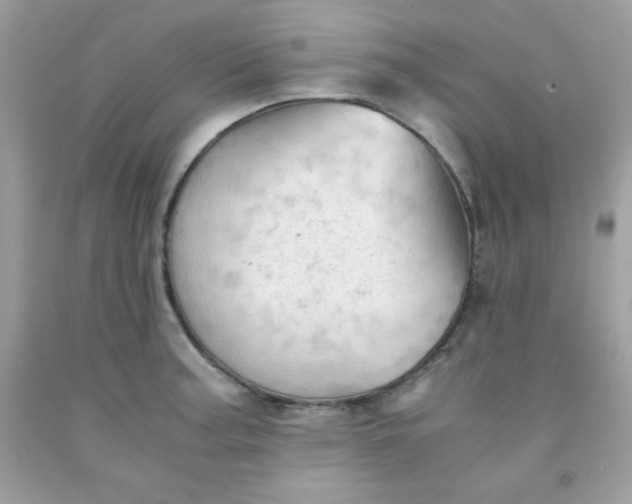 X0000091571187200709051032