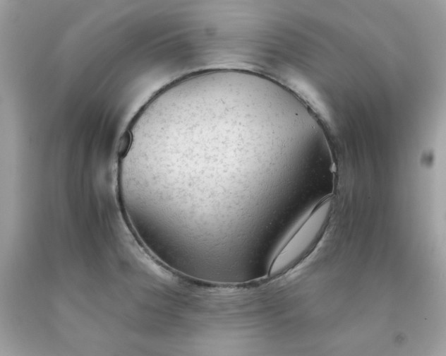X0000091571188200709051032