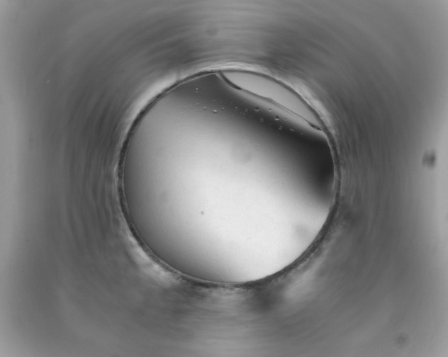 X0000091571189200709051032