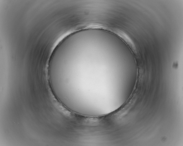 X0000091571190200709051032