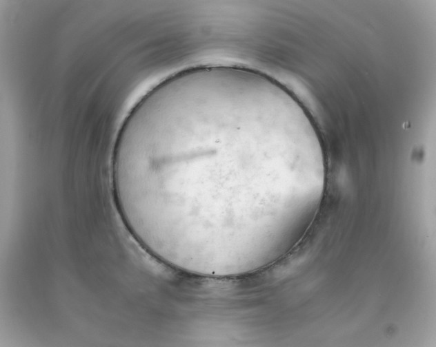 X0000091571191200709051032
