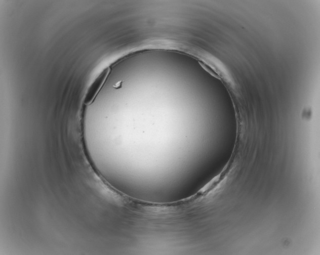 X0000091571192200709051032
