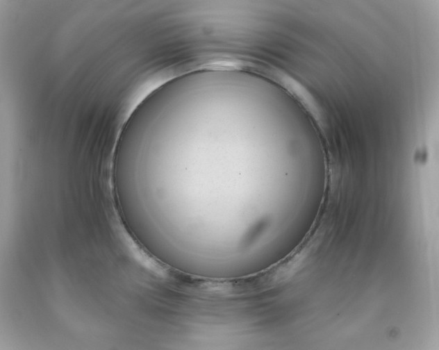 X0000091571194200709051032