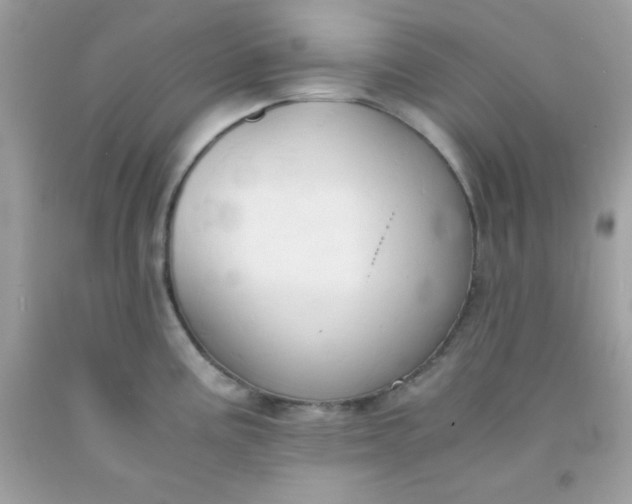 X0000091571195200709051032