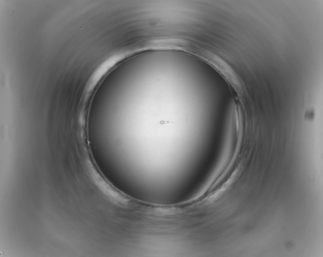 X0000091571196200709051032