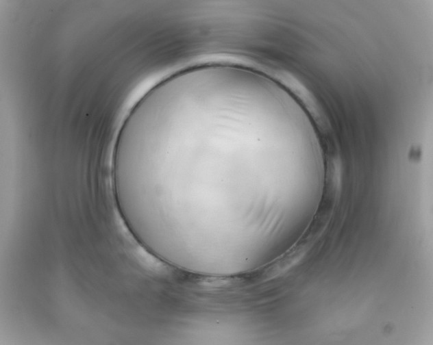X0000091571199200709051032