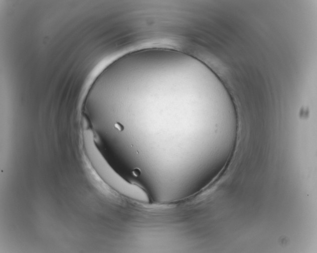 X0000091571200200709051032