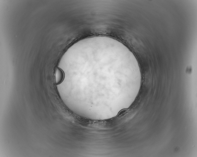 X0000091571201200709051031