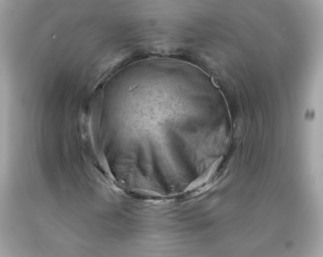 X0000091571202200709051031