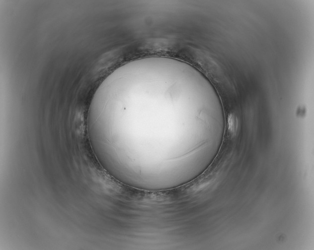 X0000091571203200709051031