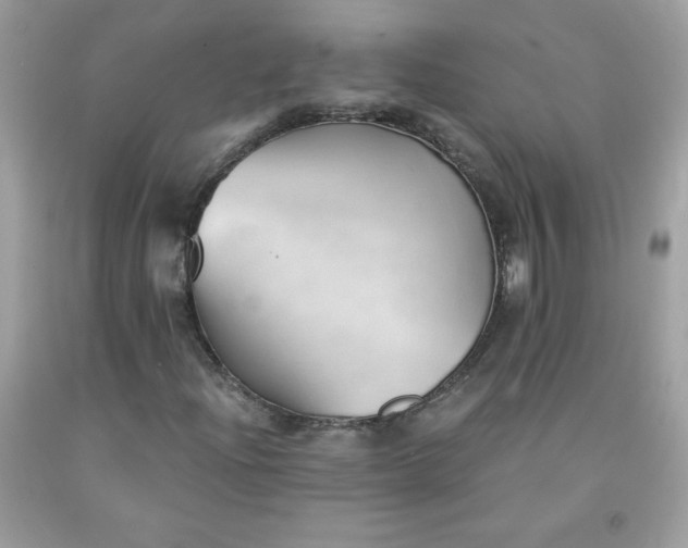X0000091571204200709051031