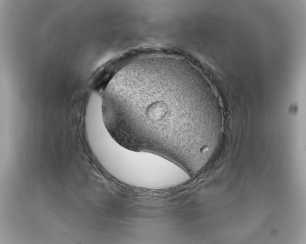 X0000091571206200709051031