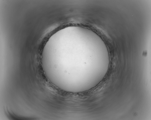 X0000091571207200709051031