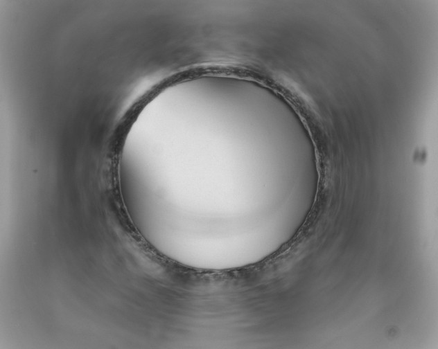 X0000091571208200709051031