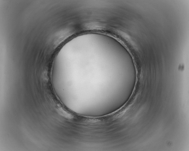 X0000091571209200709051031