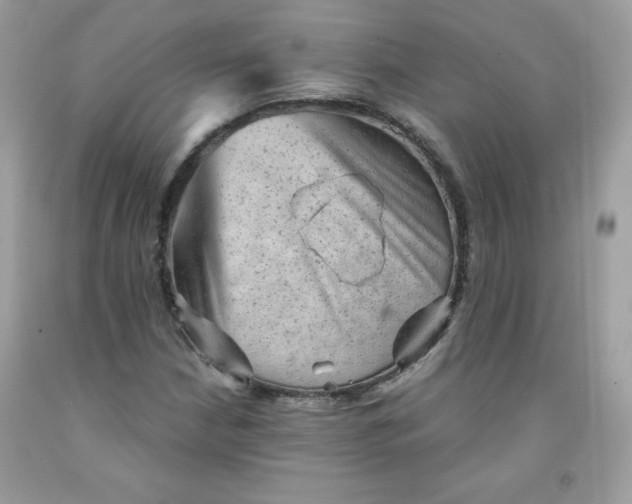 X0000091571210200709051031