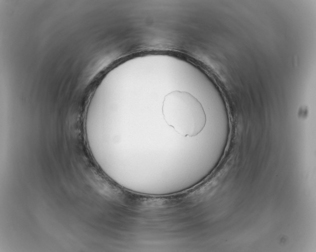 X0000091571211200709051031
