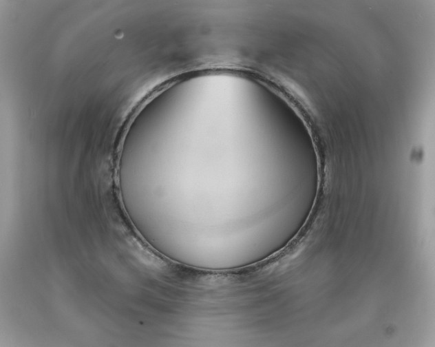 X0000091571212200709051031
