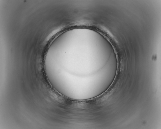 X0000091571213200709051031