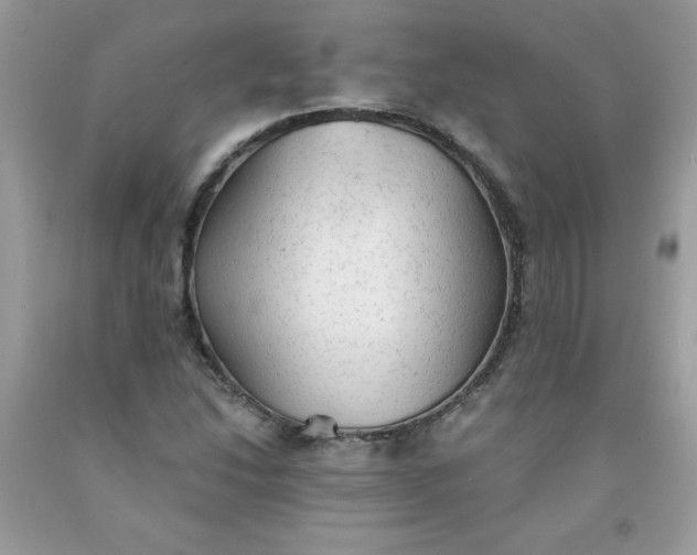 X0000091571214200709051031
