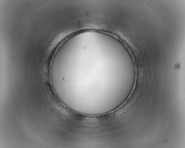 X0000091571215200709051031