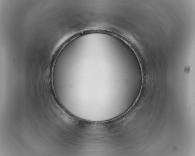 X0000091571216200709051031