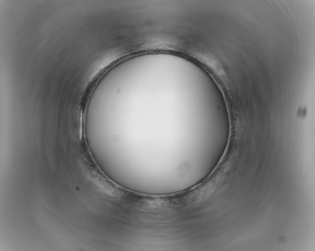 X0000091571219200709051031