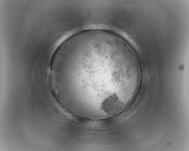 X0000091571221200709051031