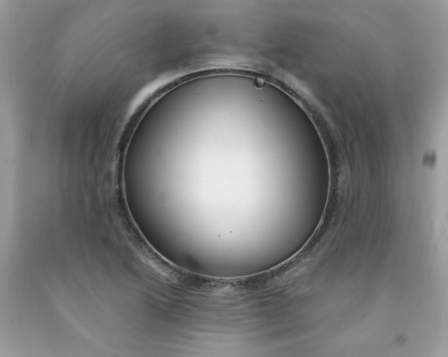 X0000091571222200709051031
