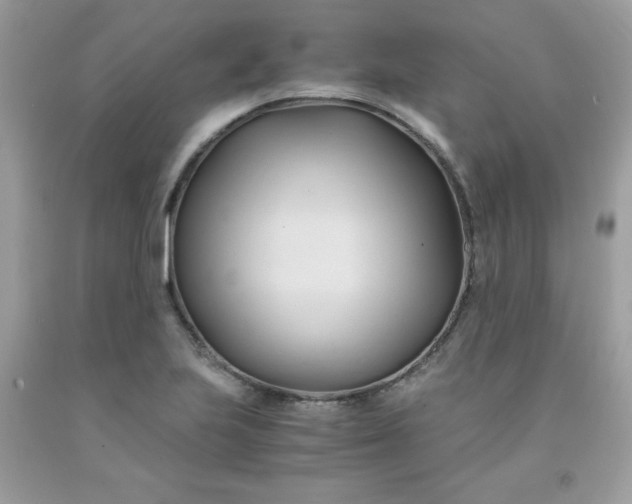 X0000091571223200709051031
