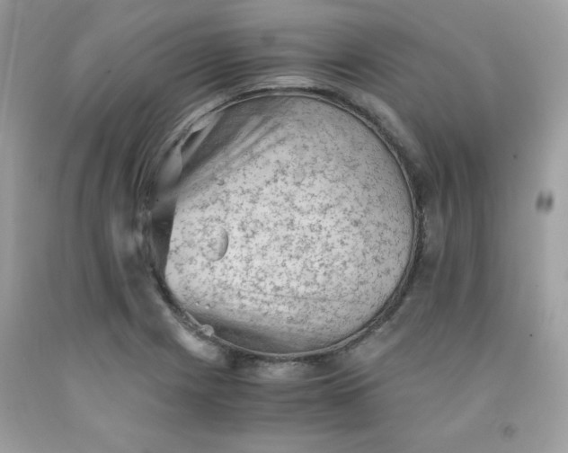 X0000091571225200709051031