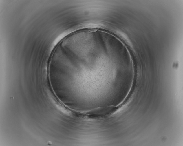 X0000091571226200709051031