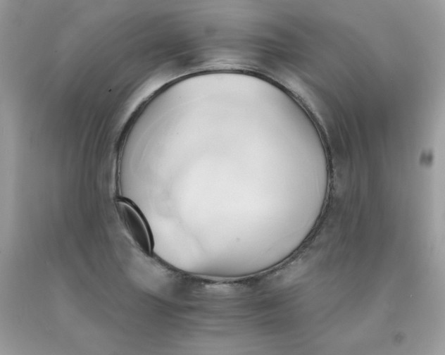 X0000091571227200709051031