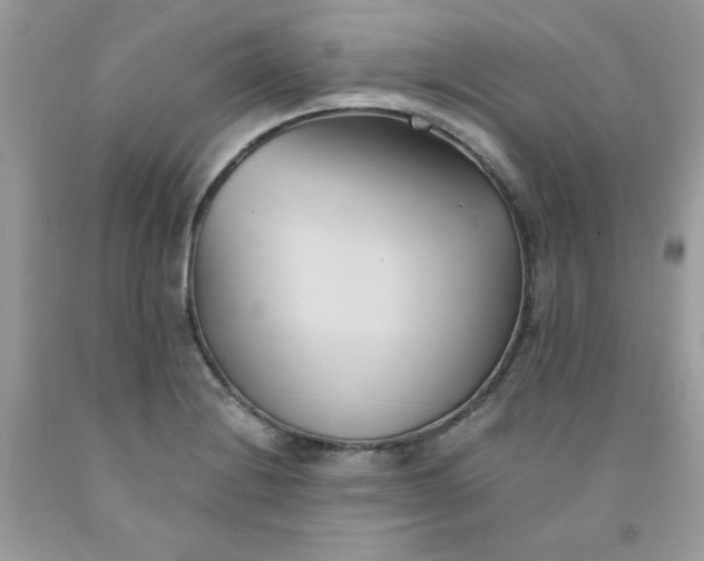 X0000091571228200709051031
