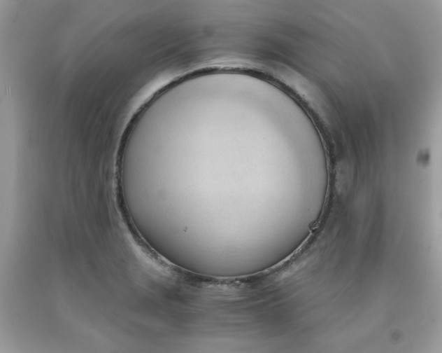 X0000091571229200709051031