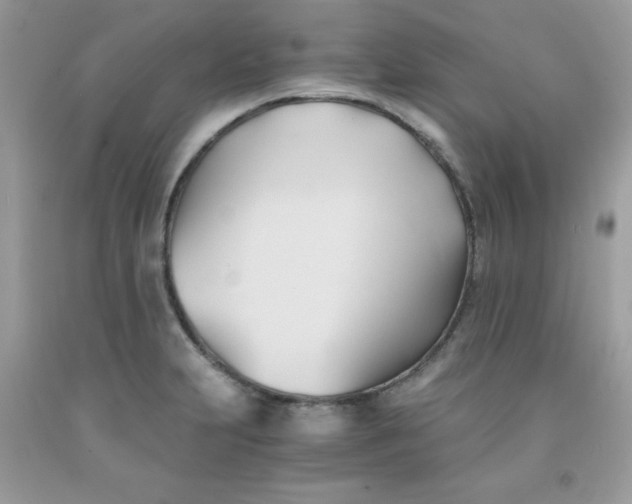 X0000091571231200709051031