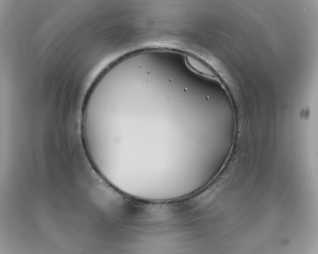 X0000091571232200709051031