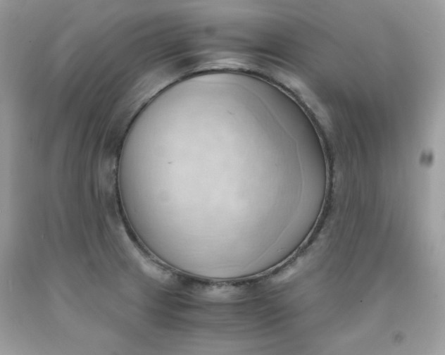 X0000091571233200709051031