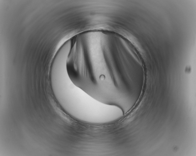 X0000091571234200709051031
