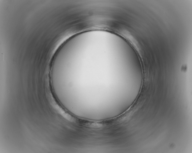 X0000091571235200709051031