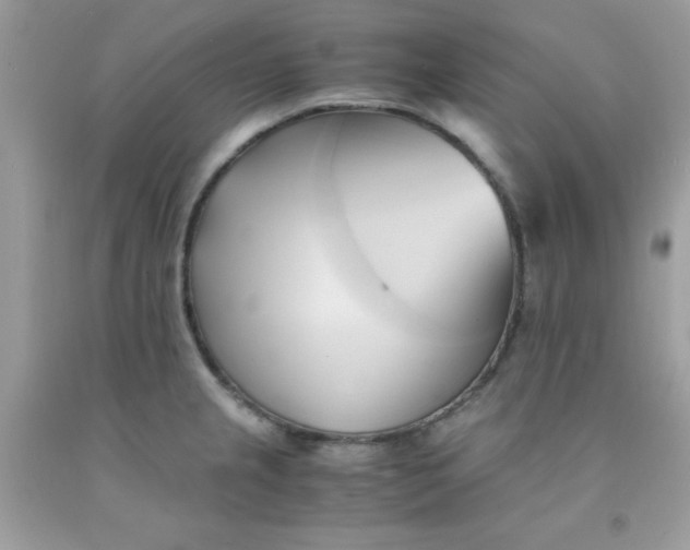 X0000091571237200709051031