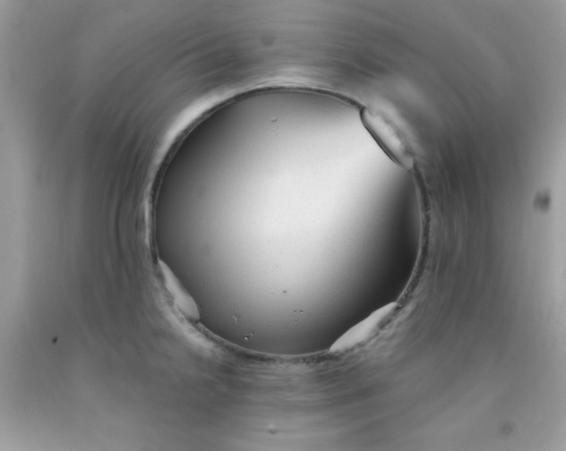 X0000091571238200709051031