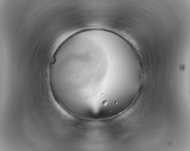 X0000091571239200709051031