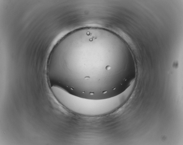 X0000091571240200709051032