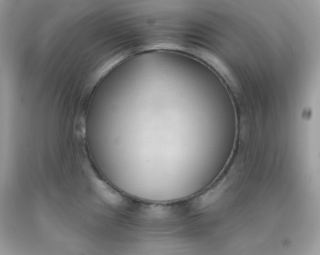 X0000091571241200709051032