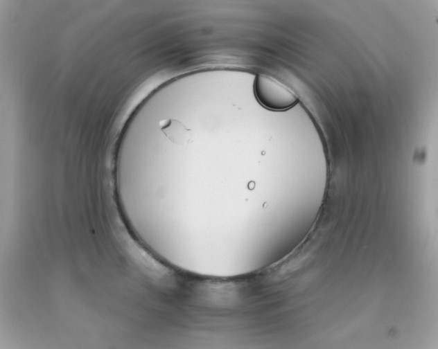 X0000091571243200709051032