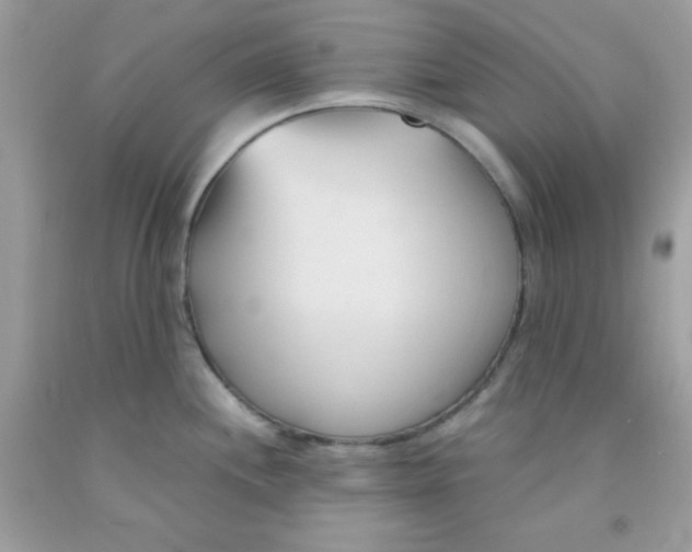 X0000091571244200709051032