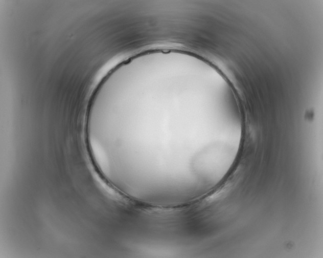 X0000091571245200709051032