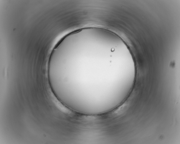 X0000091571246200709051032