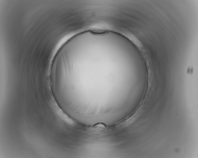 X0000091571248200709051032